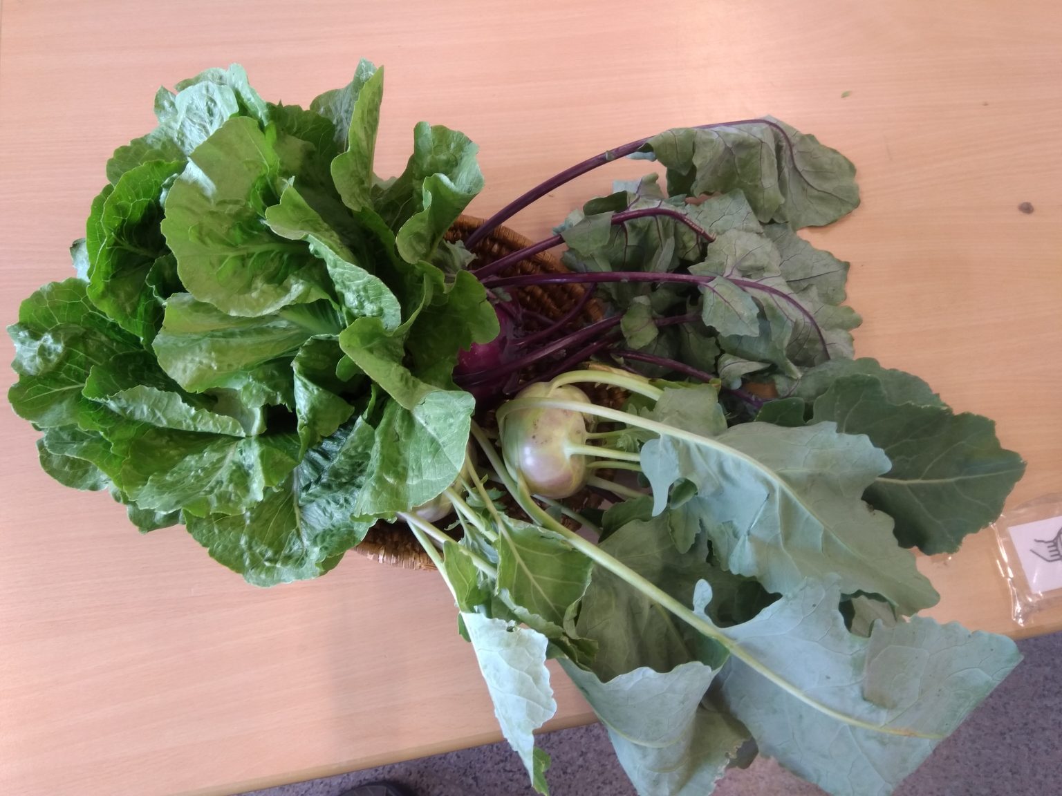 Unsere Ernte vom Acker lecker! ChristophorusSchule Düren